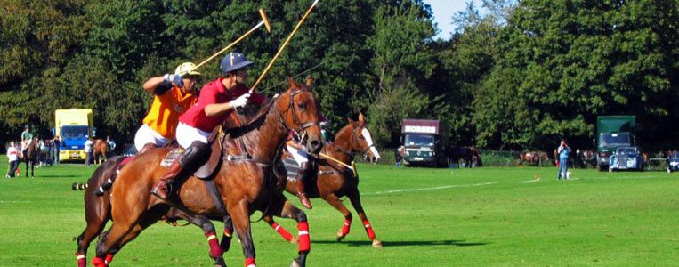 Polo Match im Phoenix Park