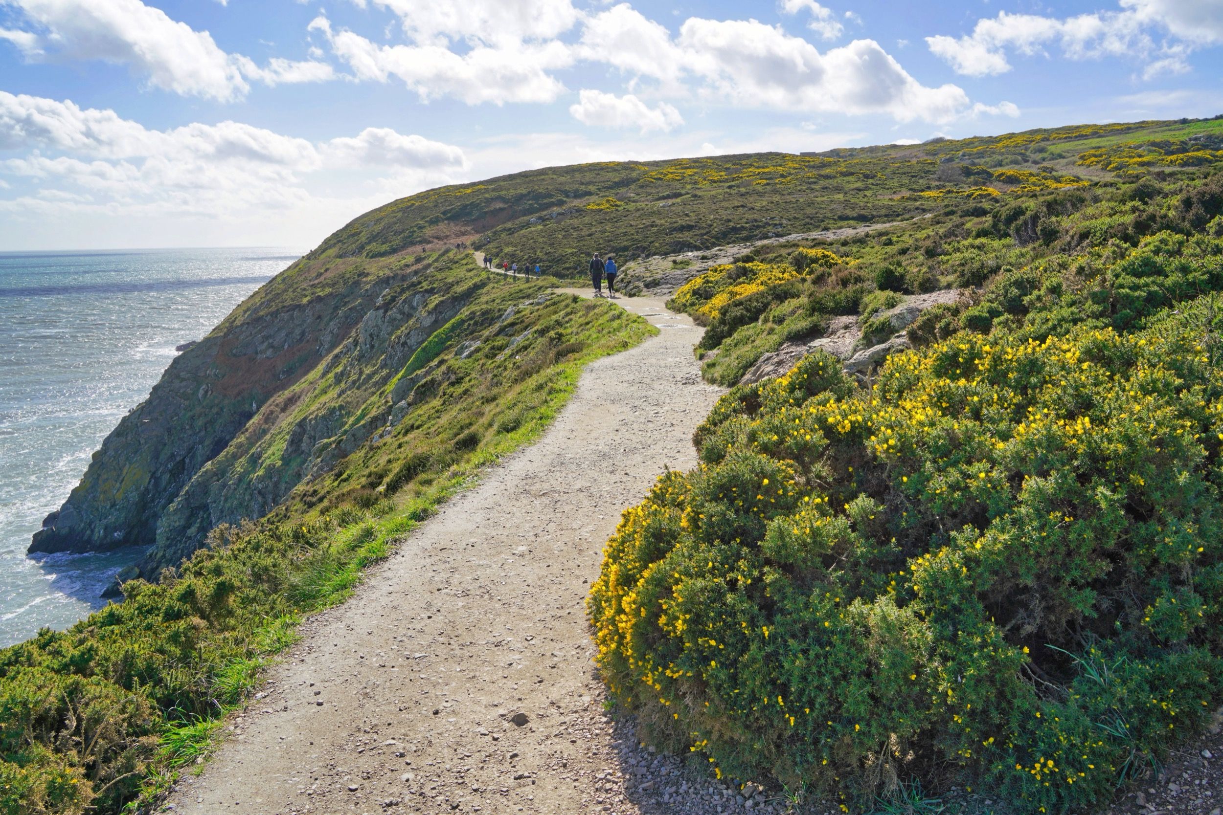 Spektakuläre Klippenwanderung an der Dublin-Küste mit grünen Hügeln, Wildflowers und Ausblick aufs Meer.
