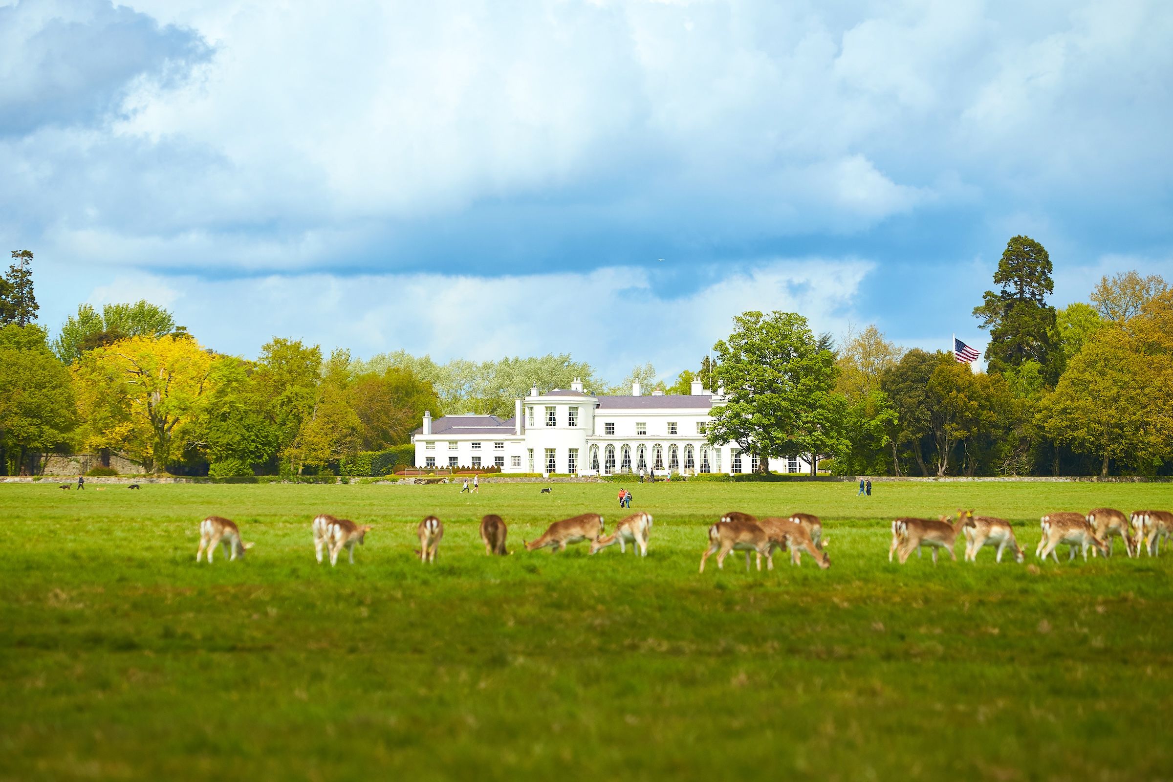 Phoenix Park – Damhirsche, Dublin Zoo & Ashtown Castle
