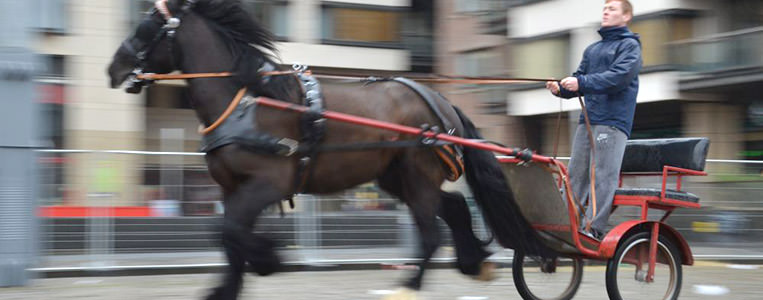 Smithfield Pferdemarkt