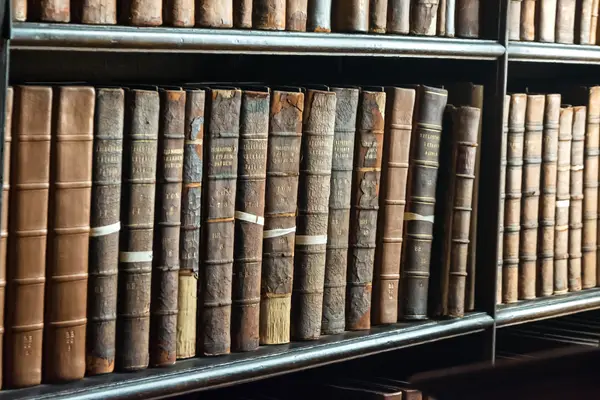 Museen & Bibliotheken