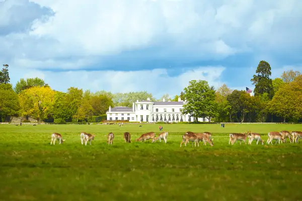 Parks & Natur